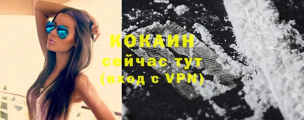 гидра Осташков