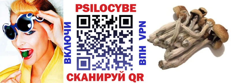закладка  Усть-Кут  дарк нет телеграм  Псилоцибиновые грибы Psilocybine cubensis 
