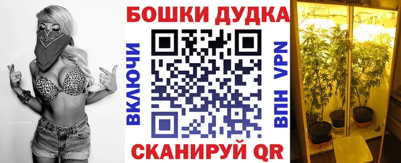 сколько стоит  Усть-Кут  МАРИХУАНА MAZAR 